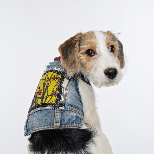 Autumn Forest Denim Jacket