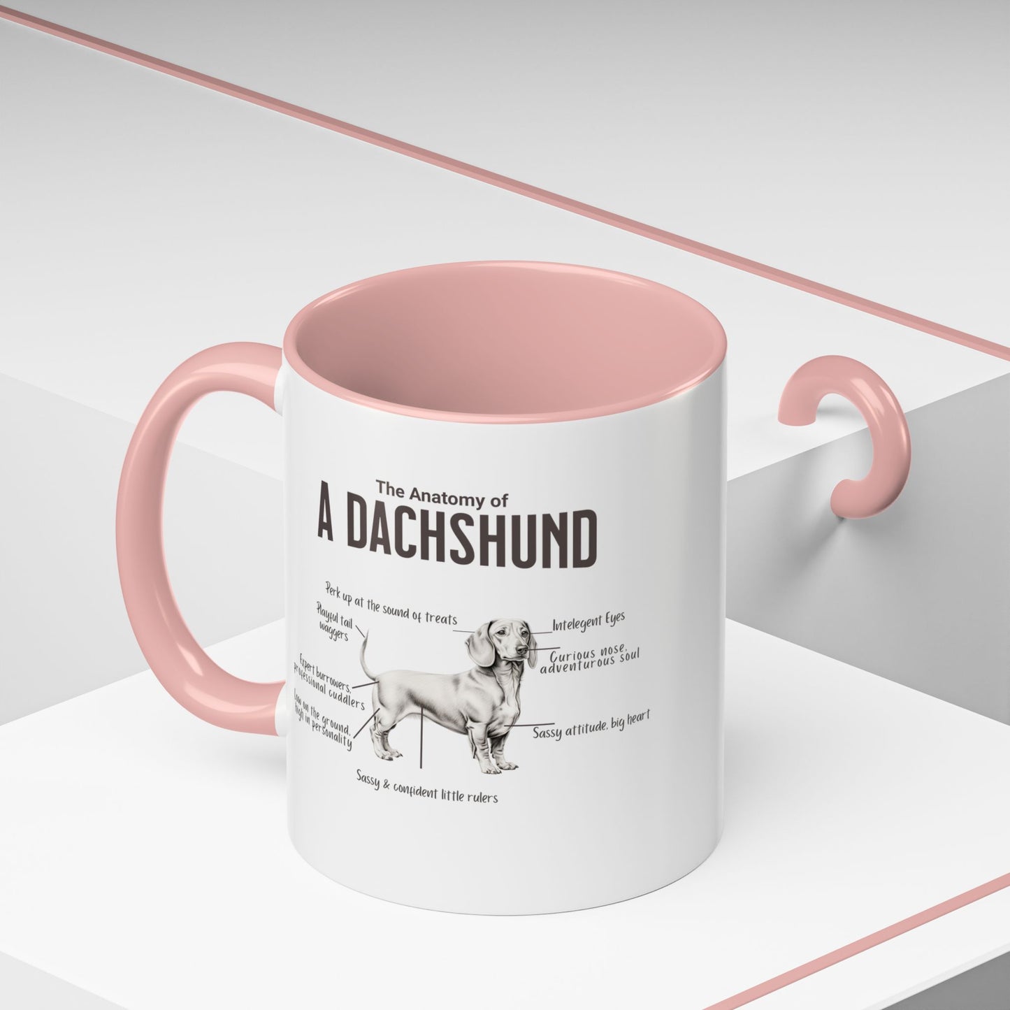 Dachshund Anatomy Mug White