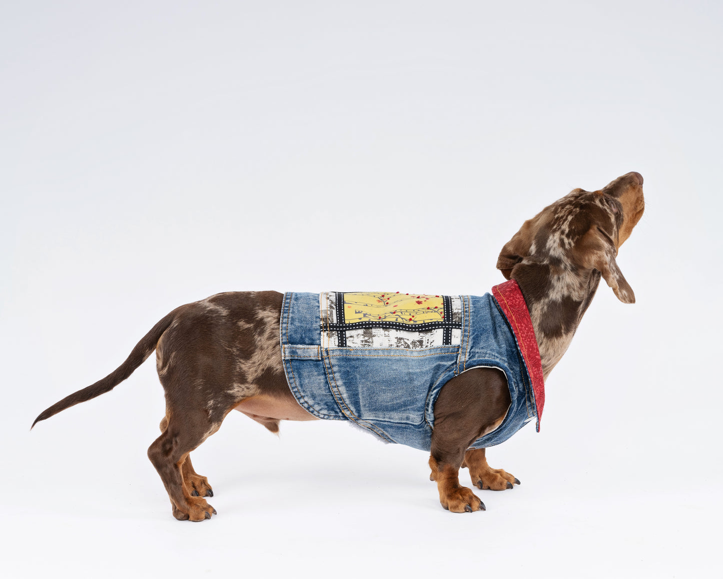 Autumn Forest Denim Jacket