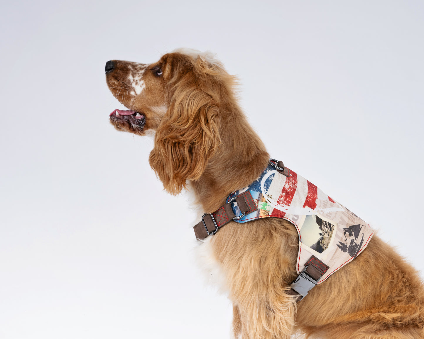 American cross country Dog Harness