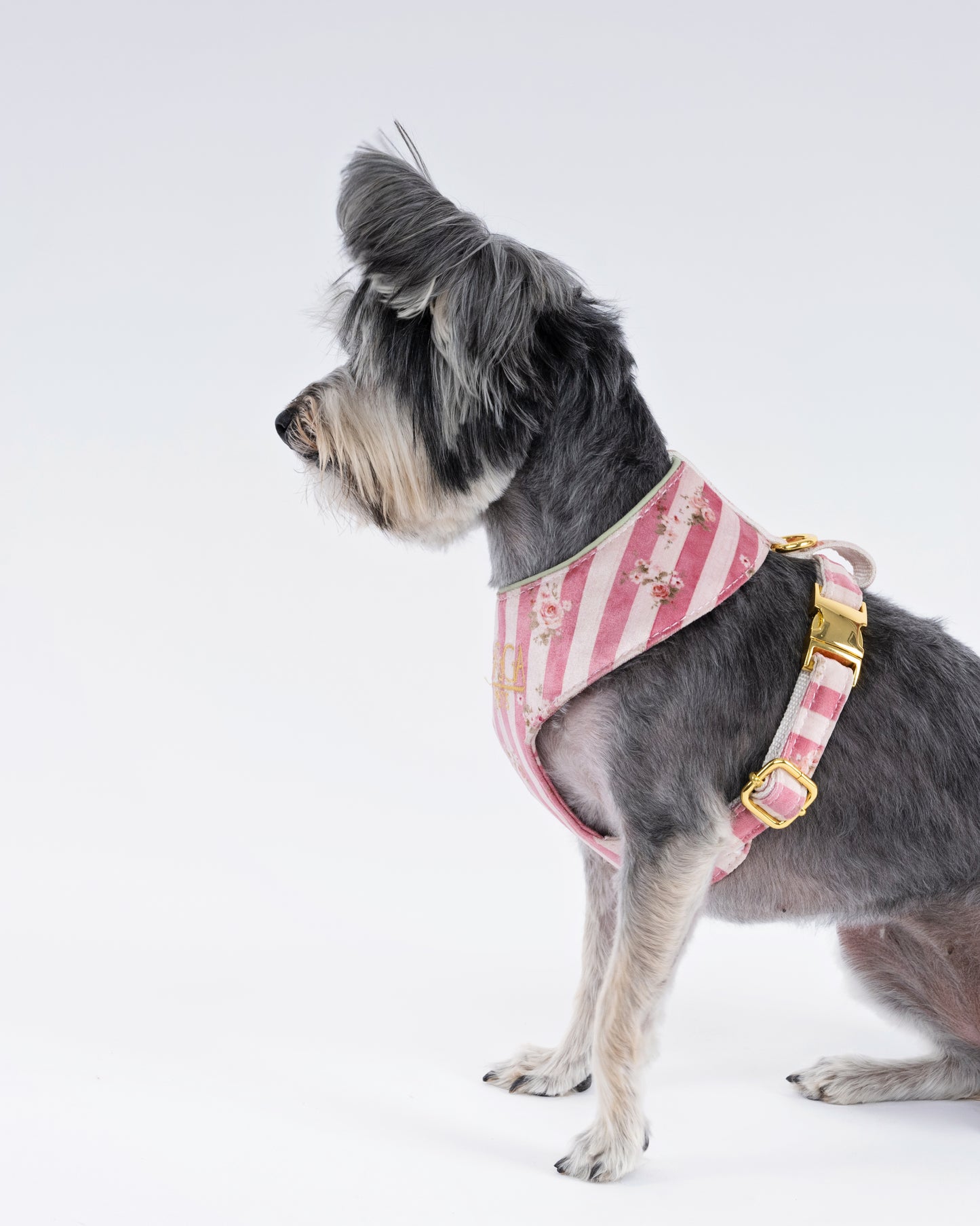 Luxury Velvet Dog Harness – Handmade Vintage Floral Design