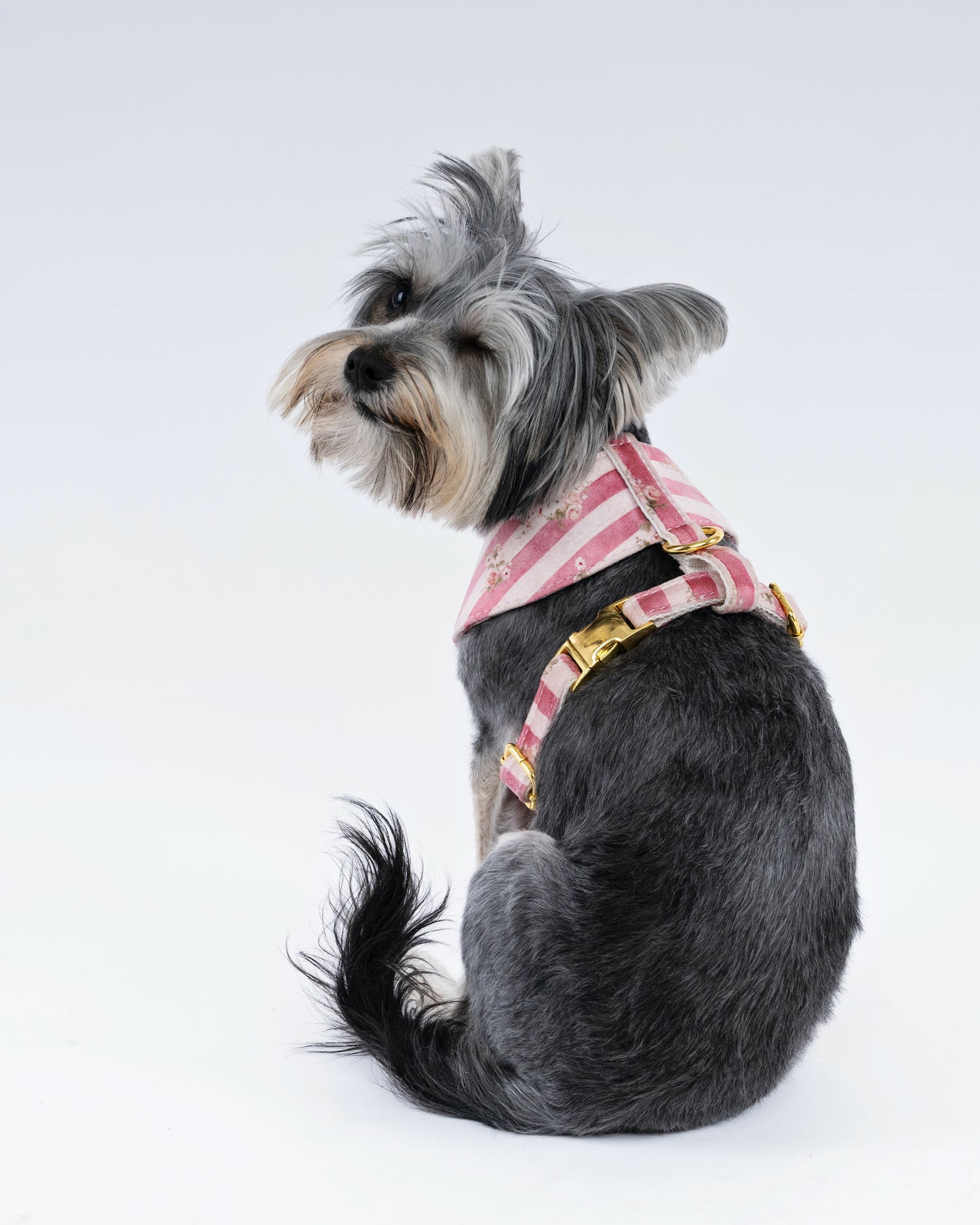 Luxury Velvet Dog Harness – Handmade Vintage Floral Design