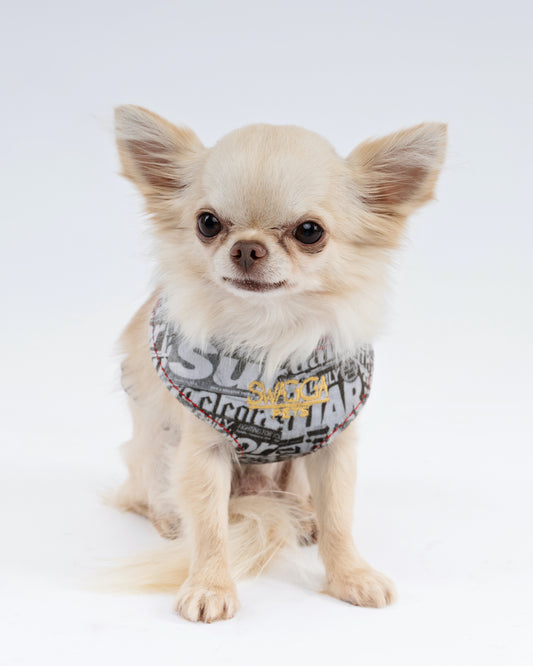 Newspaper Print Velvet Dog Harness – Designer Edition