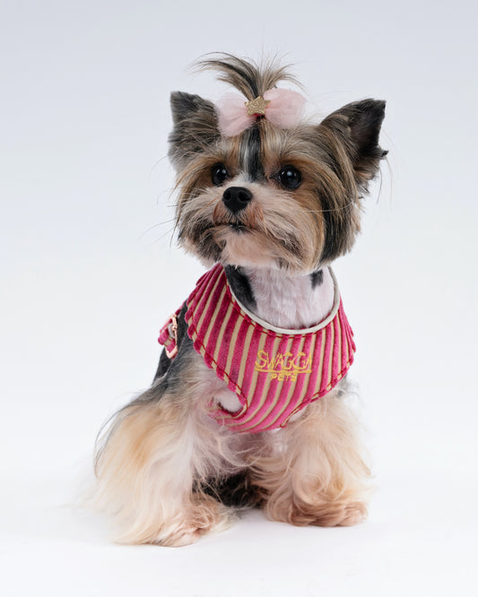 Bold Striped Velvet Dog Harness – Handmade With Upholstery Fabric