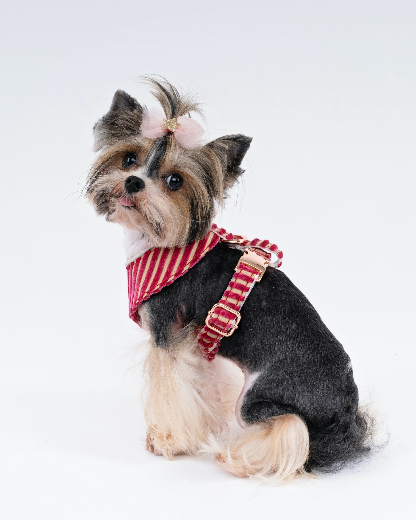 Bold Striped Velvet Dog Harness – Handmade With Upholstery Fabric