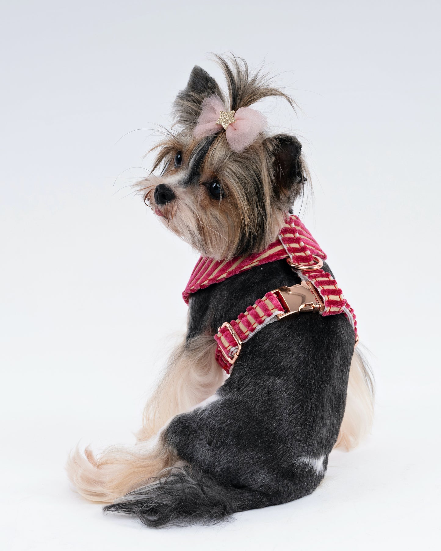 Bold Striped Velvet Dog Harness – Handmade With Upholstery Fabric