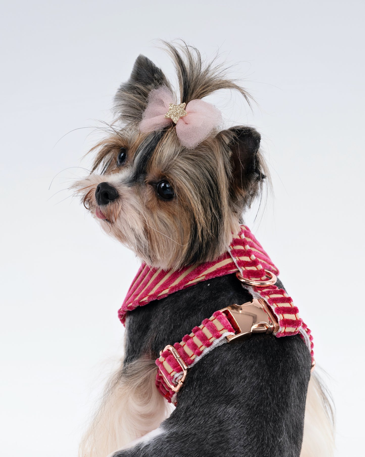 Bold Striped Velvet Dog Harness – Handmade With Upholstery Fabric