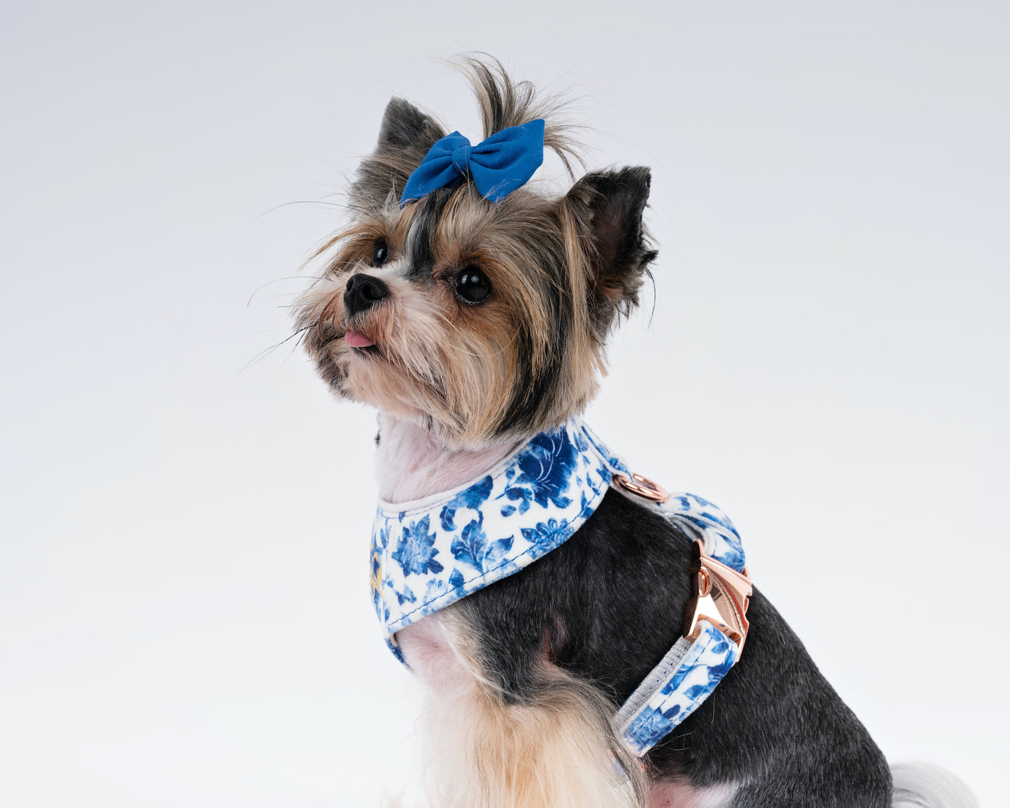 Luxury Velvet Dog Harness – Delft Design with Rose Gold