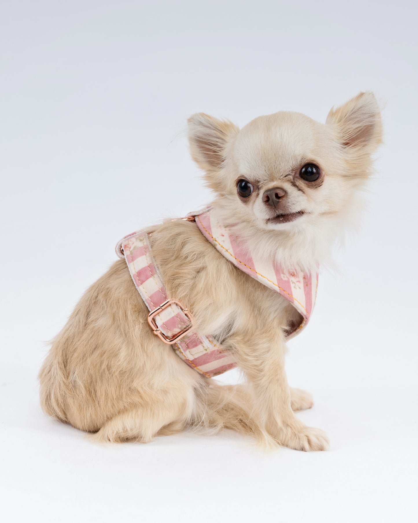 Luxury Velvet Dog Harness – Handmade Vintage Floral Design