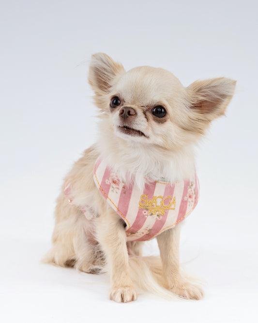 Luxury Velvet Dog Harness – Handmade Vintage Floral Design