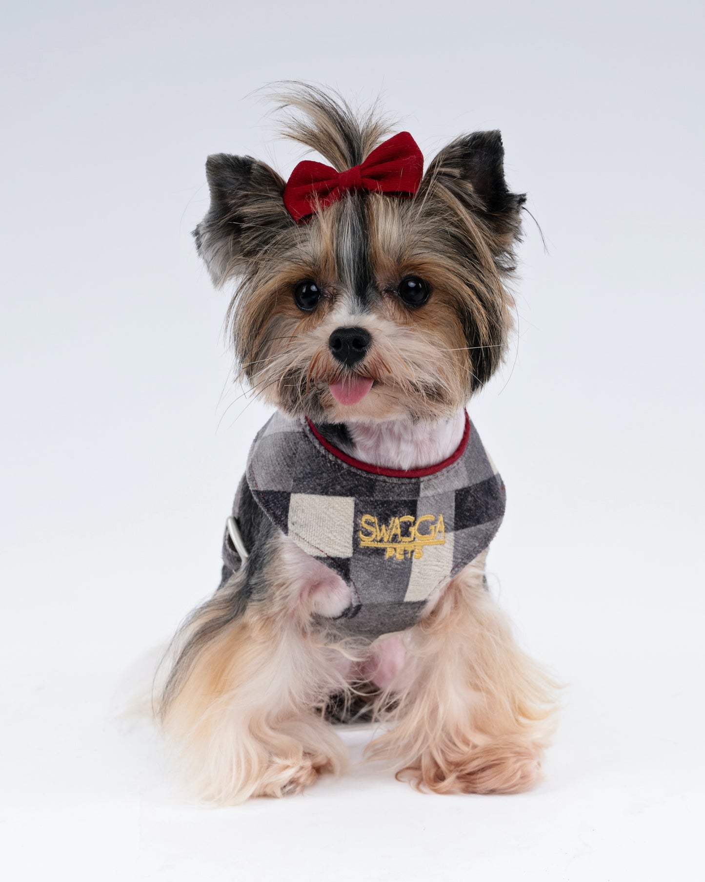Cubist Velvet Dog Harness – Luxury Gold Hardware