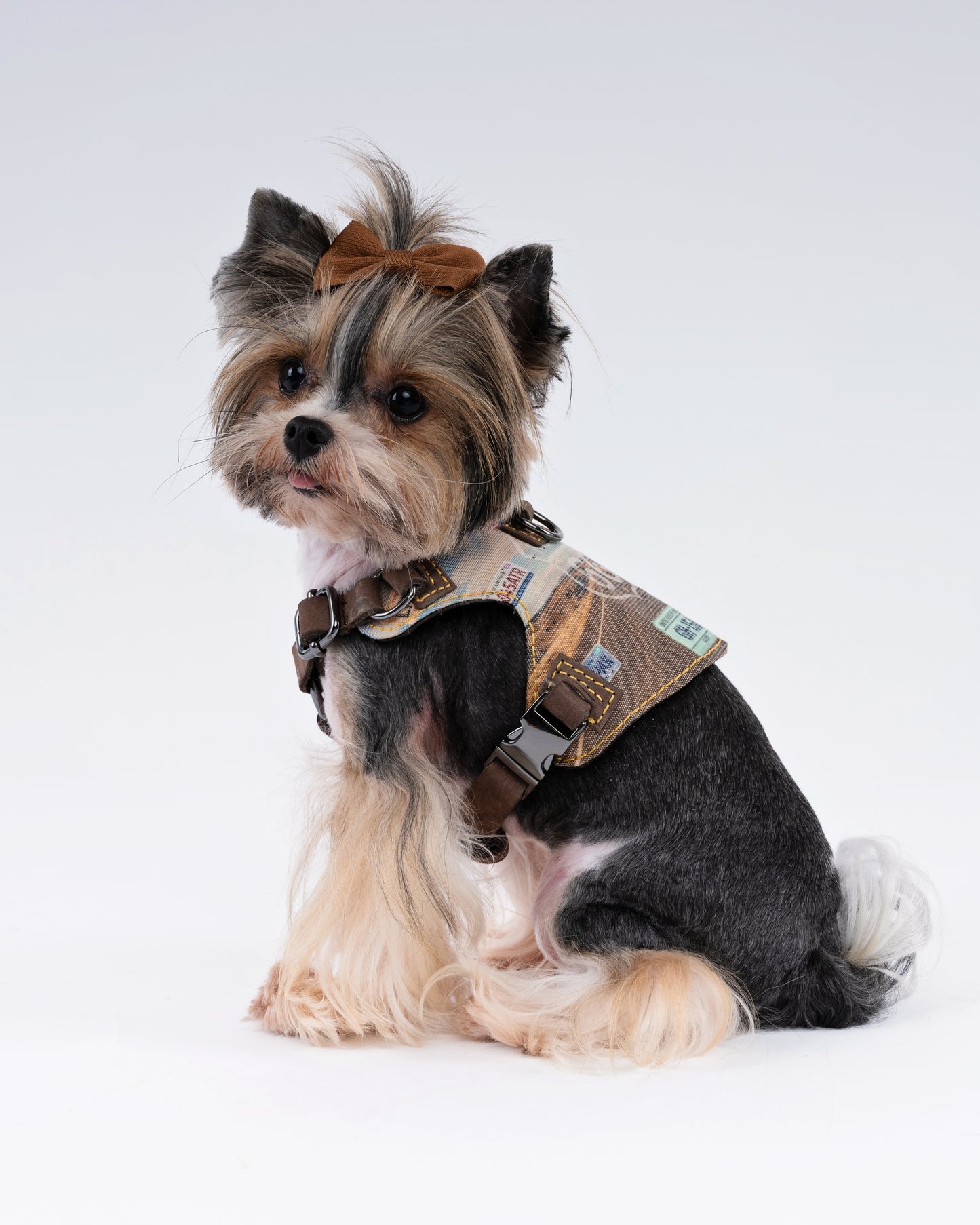 Route 66 Dog Harness