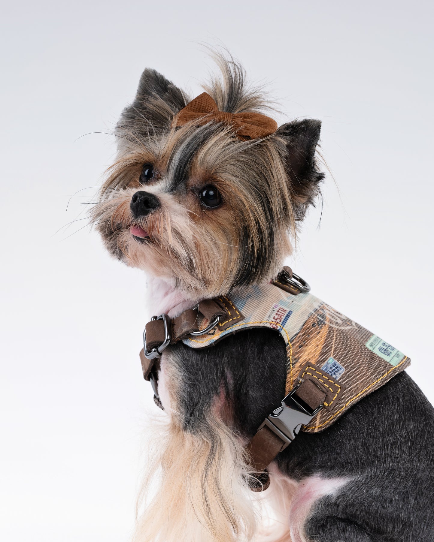 Route 66 Dog Harness
