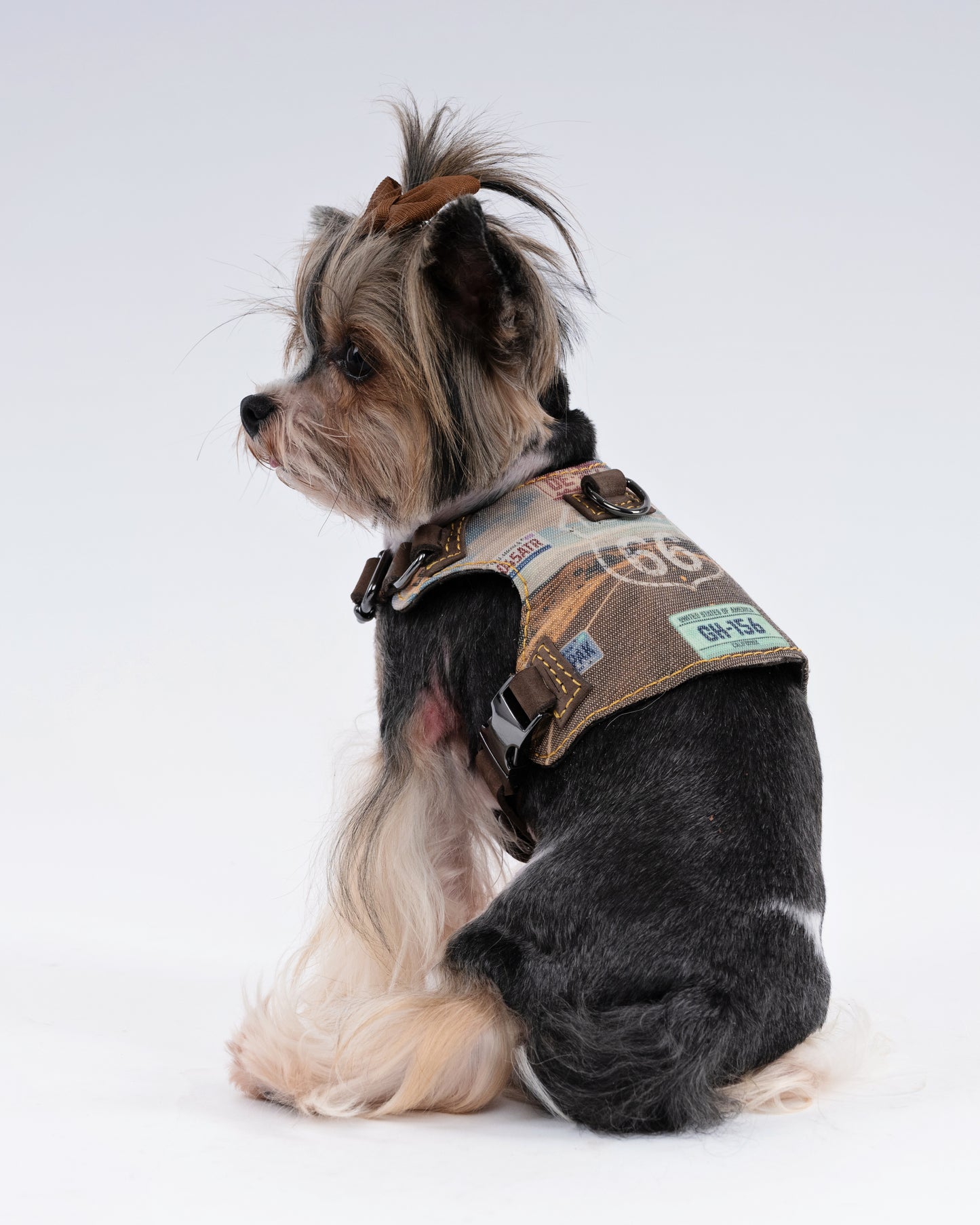 Route 66 Dog Harness