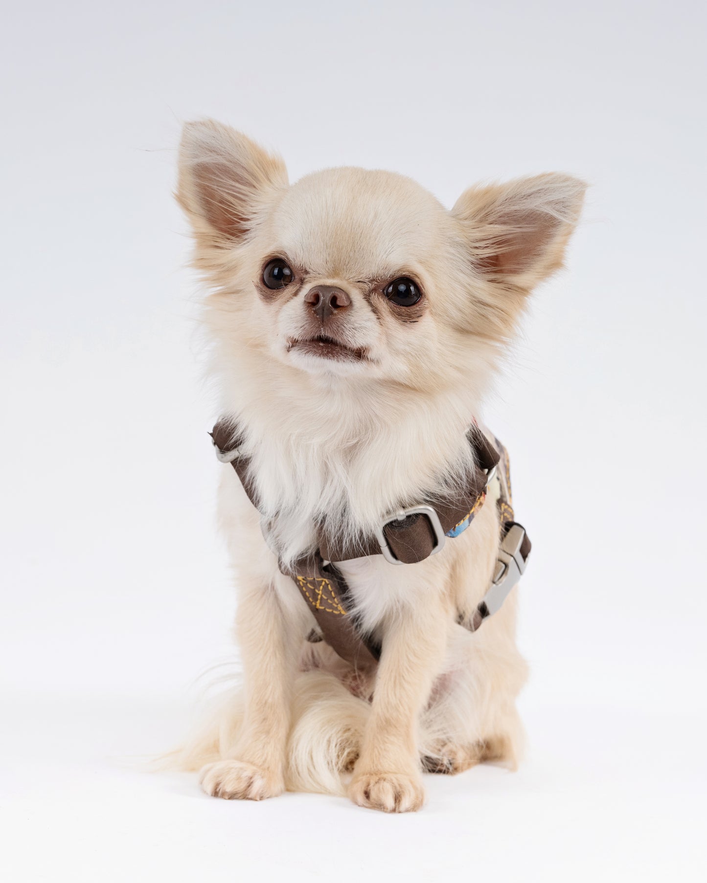 Route 66 Dog Harness