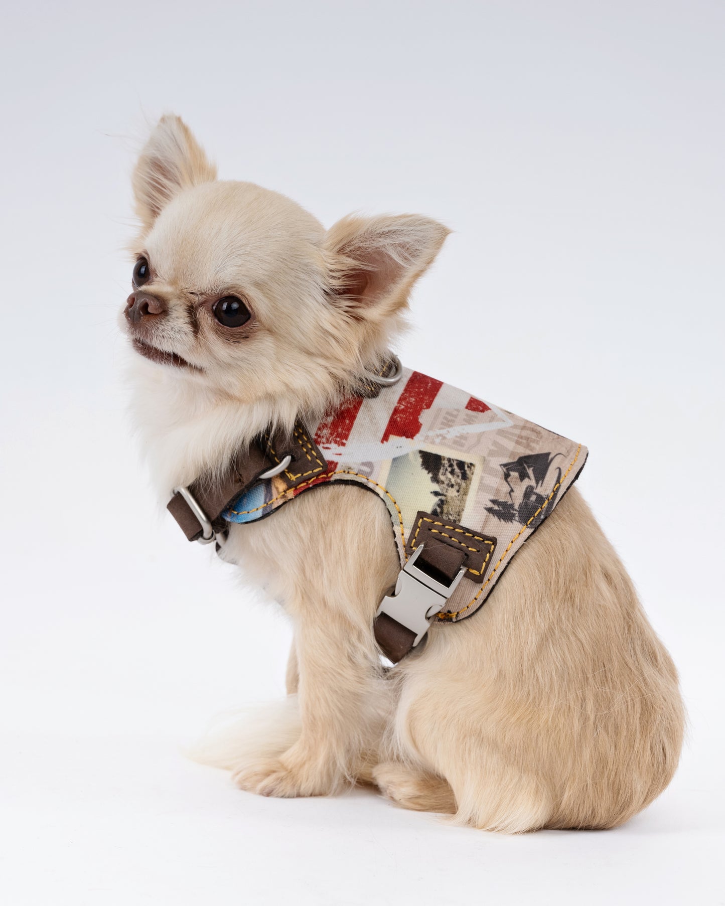 American cross country Dog Harness