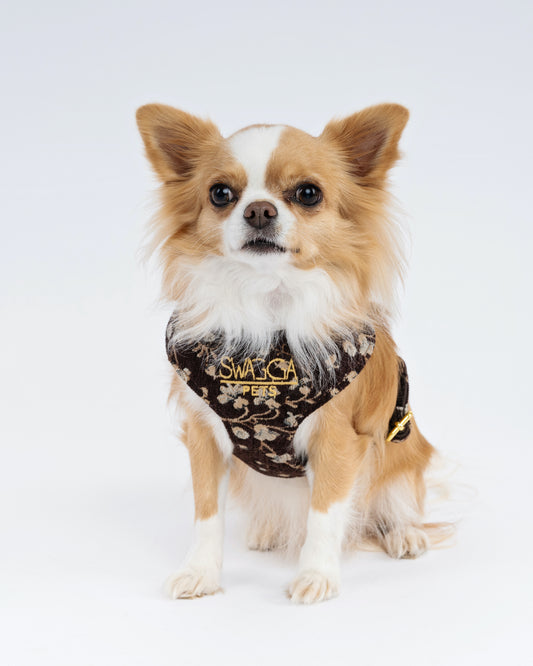 Vintage Brown Floral Velvet Dog Harness – Luxury Gold Hardware