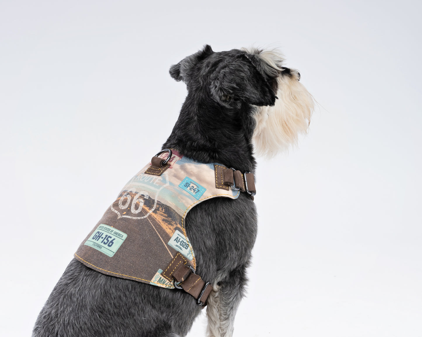 Route 66 Dog Harness