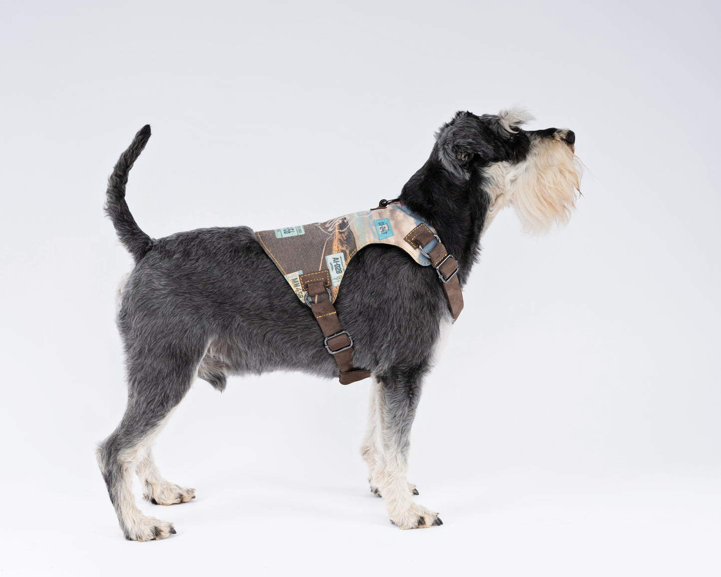 Route 66 Dog Harness
