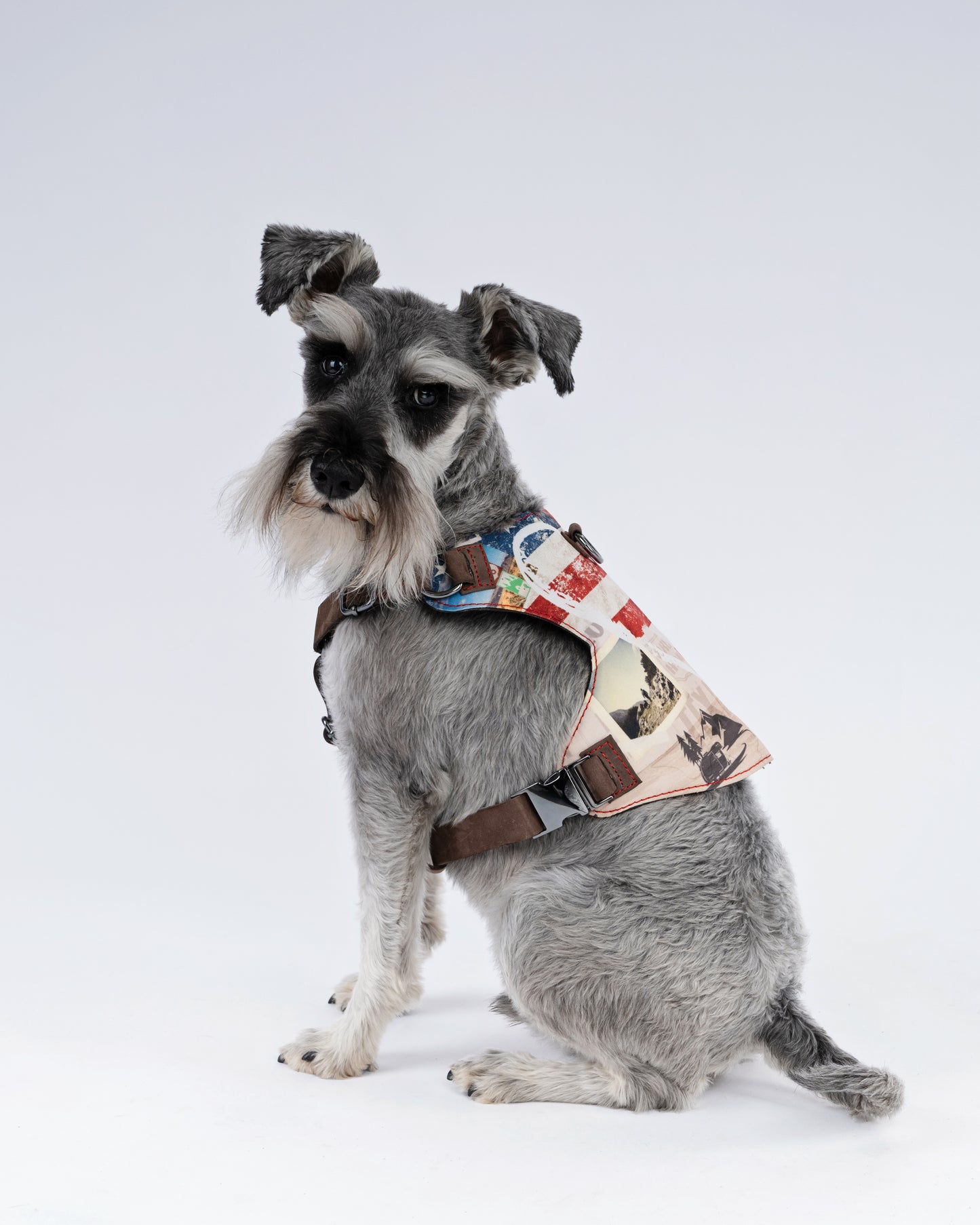 American cross country Dog Harness