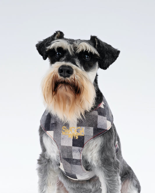 Cubist Velvet Dog Harness – Luxury Gold Hardware
