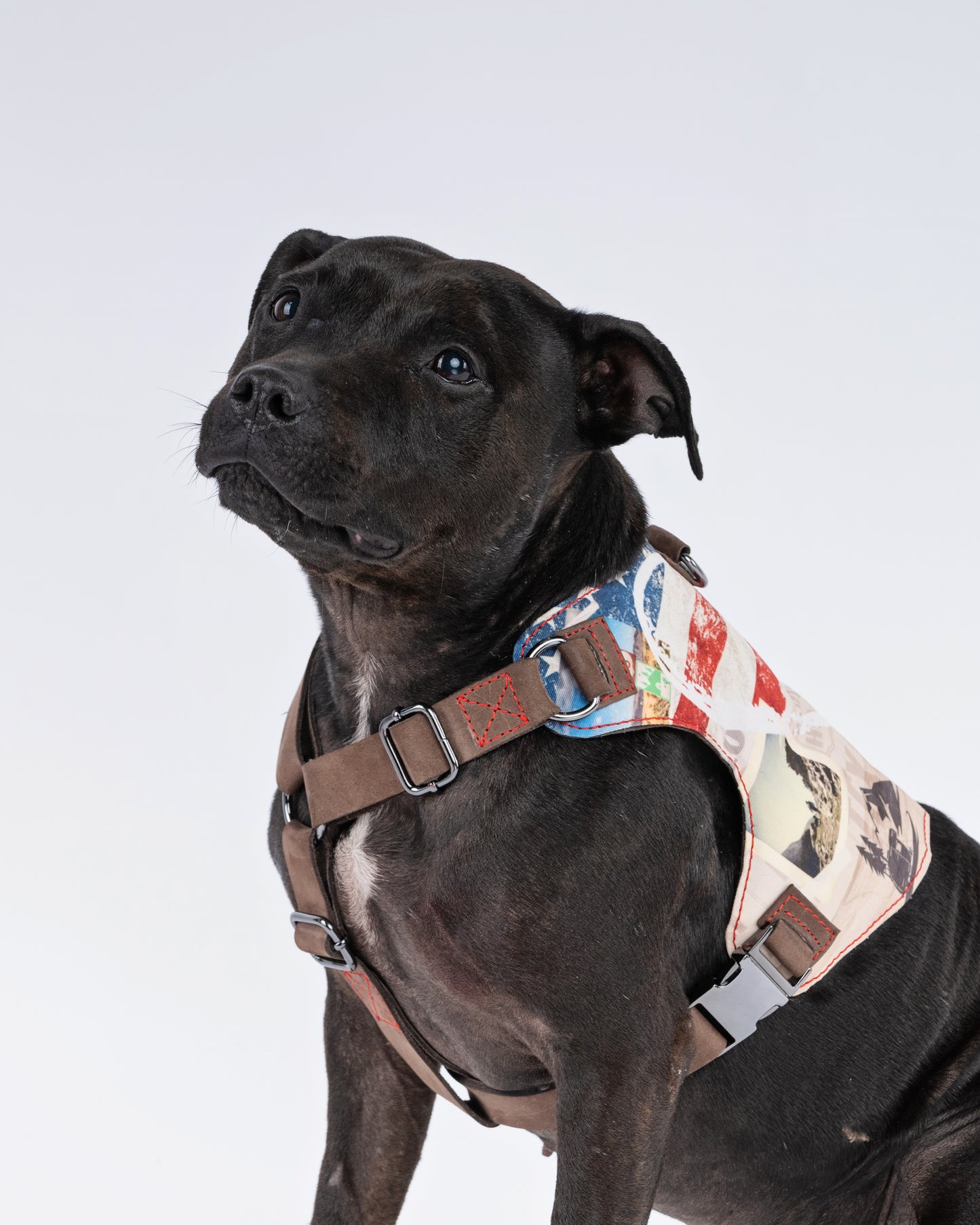 American cross country Dog Harness