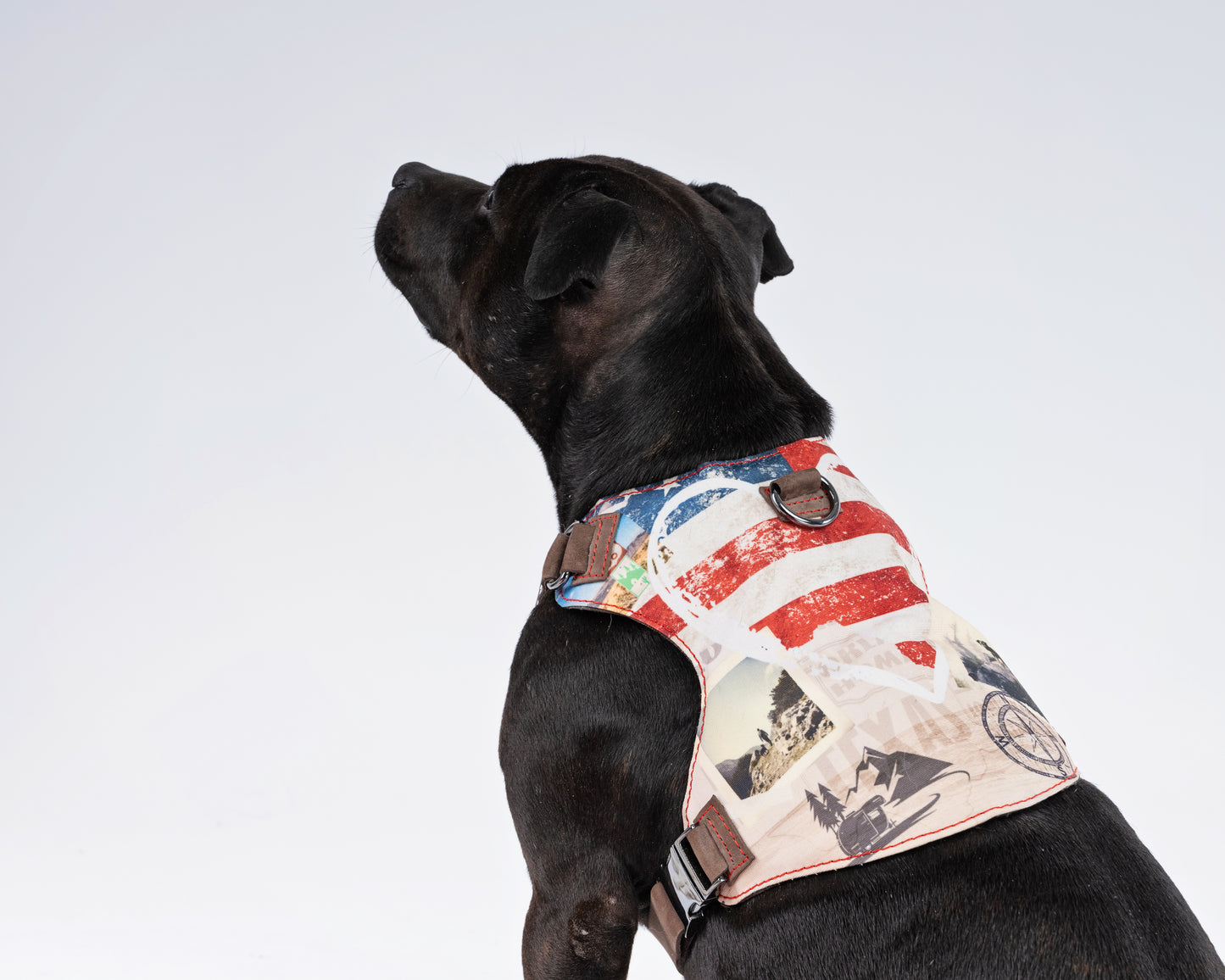 American cross country Dog Harness