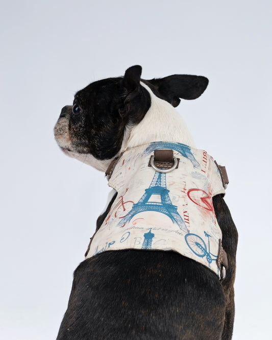 Paris Dog Harnes