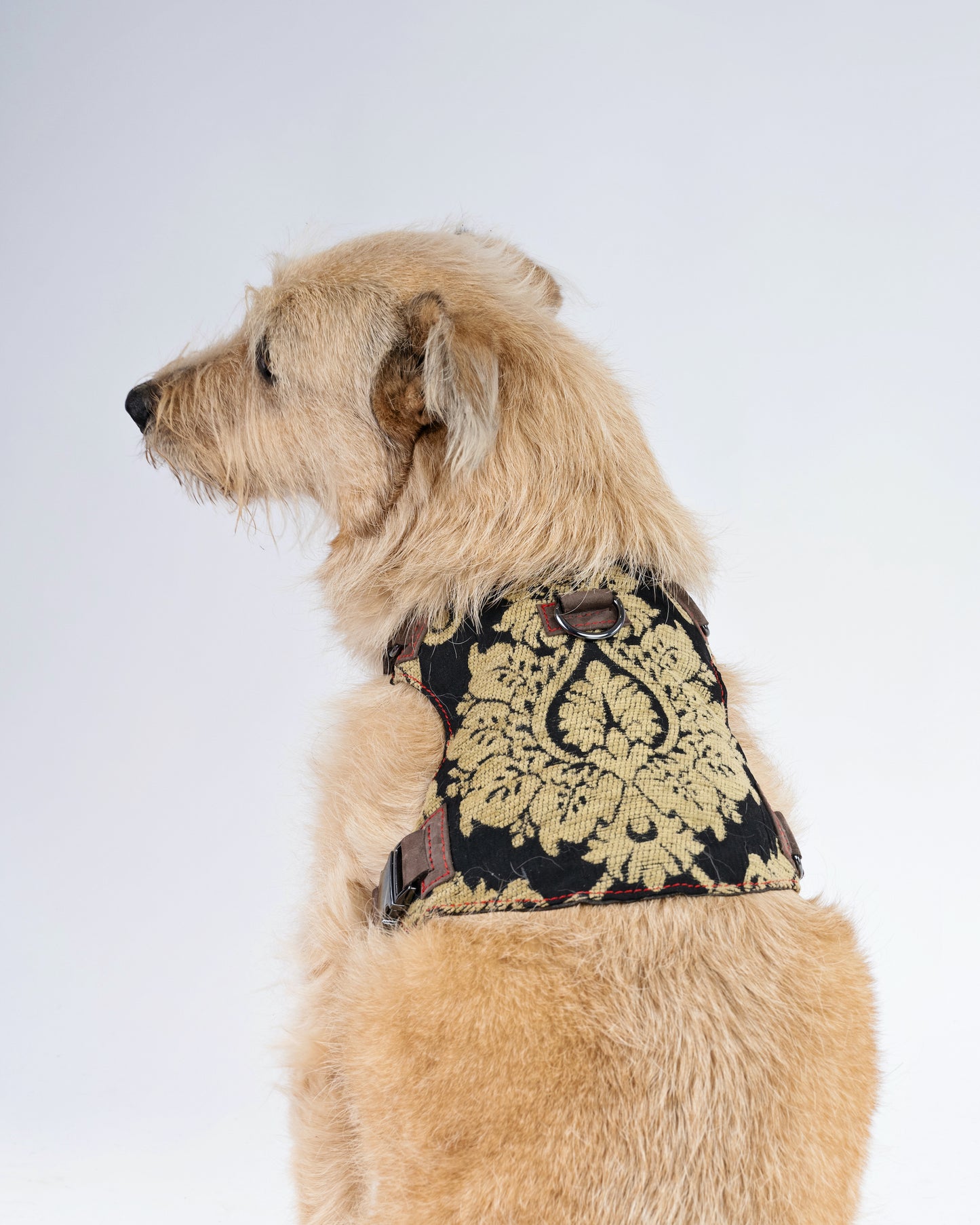 Brocade Dog Harness