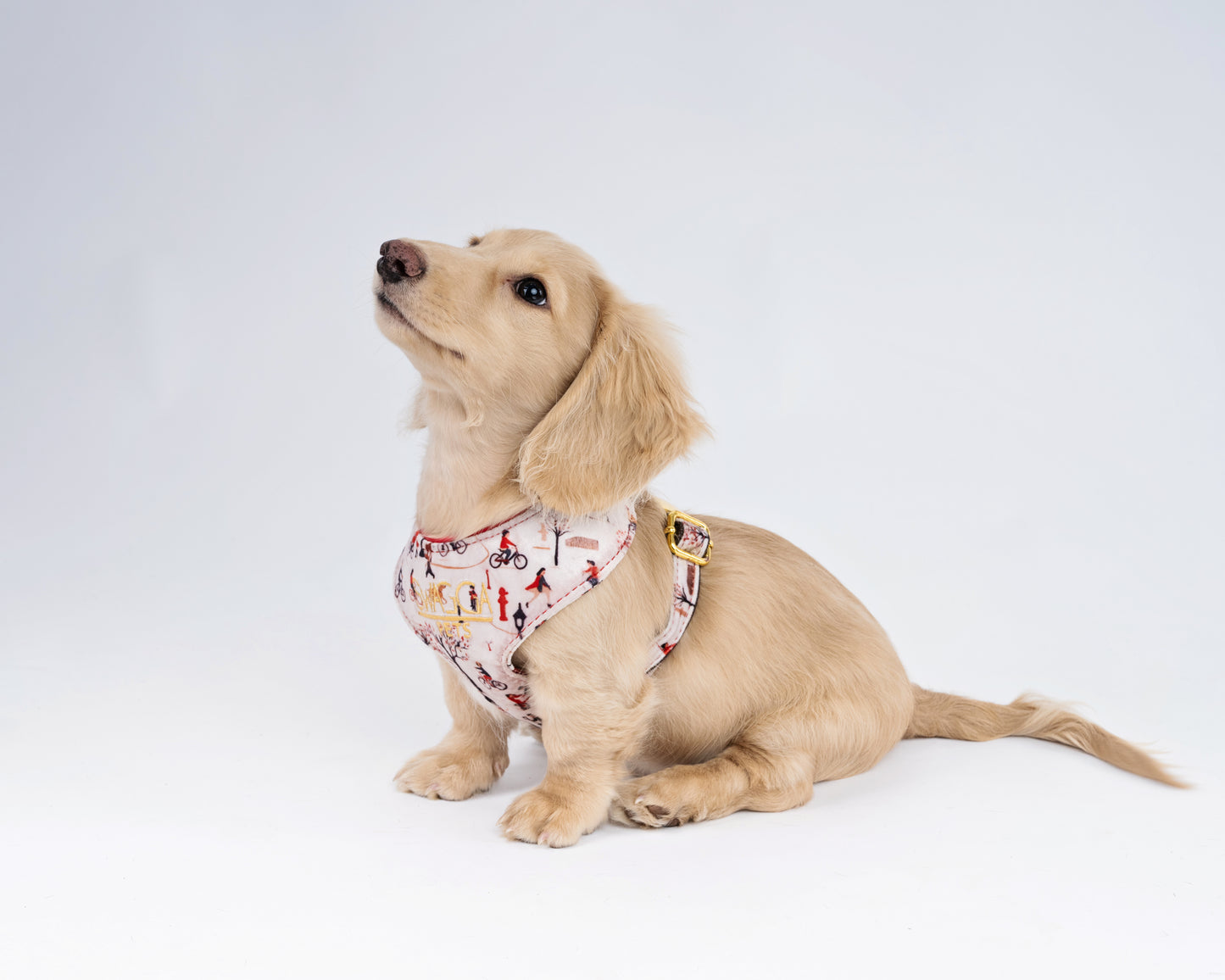 Park Stroll Velvet Dog Harness – Handmade Luxury