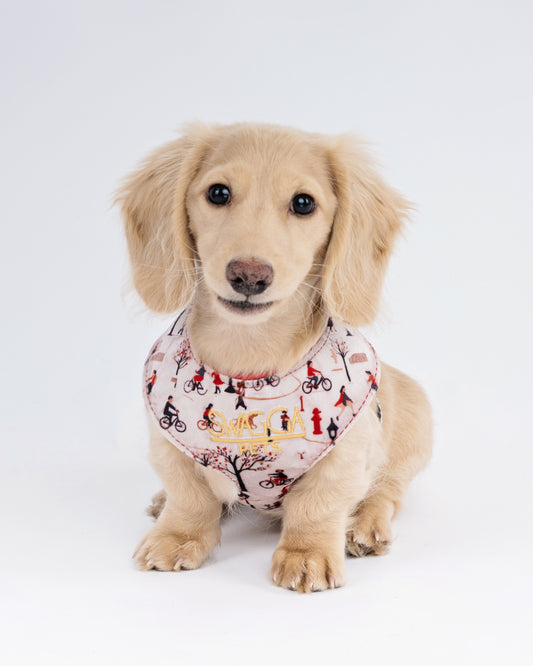 Park Stroll Velvet Dog Harness – Handmade Luxury