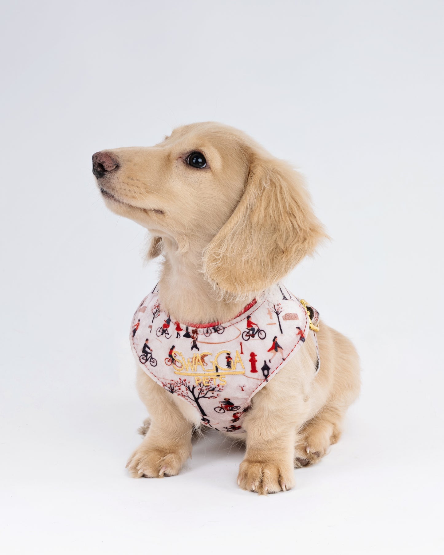 Park Stroll Velvet Dog Harness – Handmade Luxury