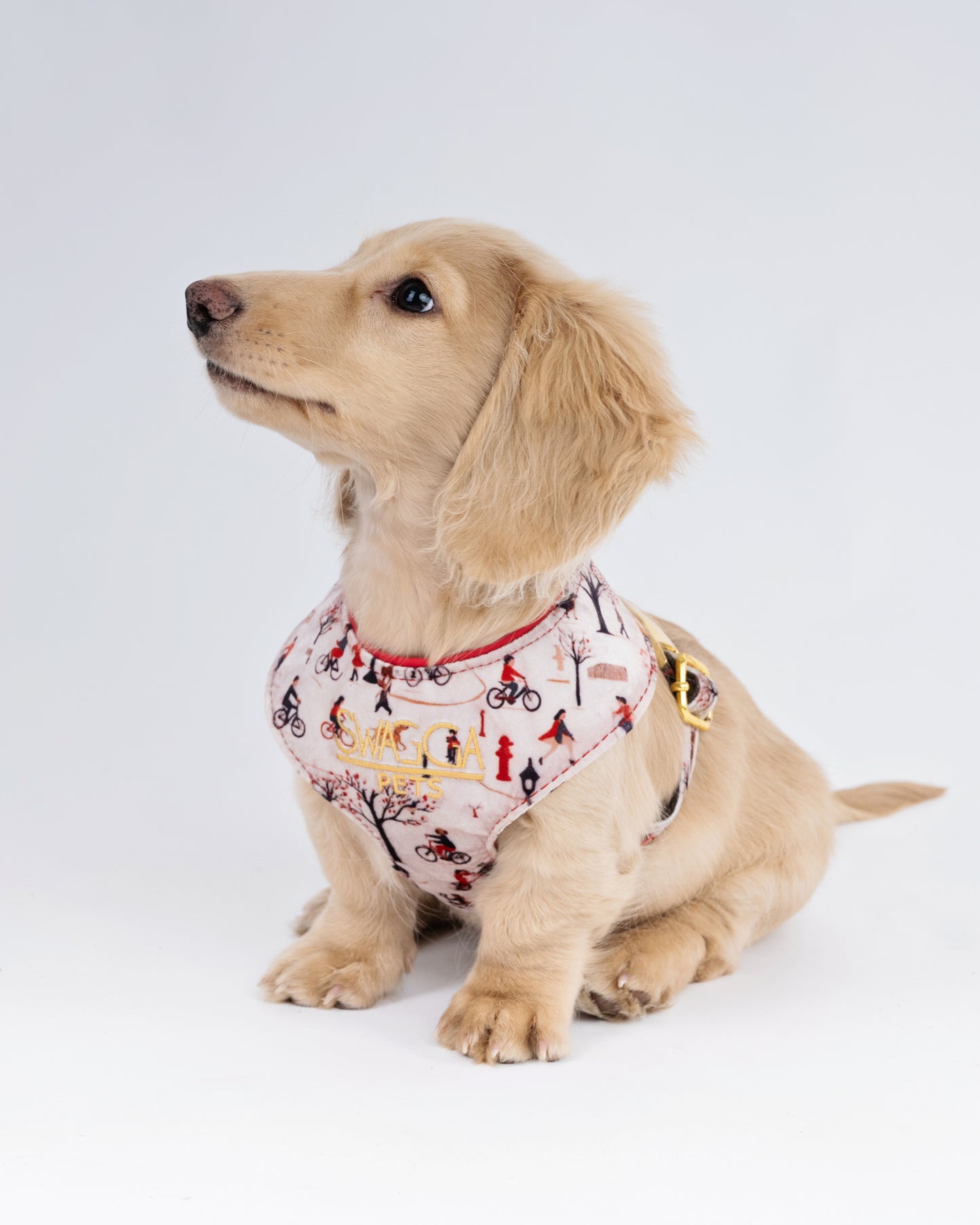 Park Stroll Velvet Dog Harness – Handmade Luxury
