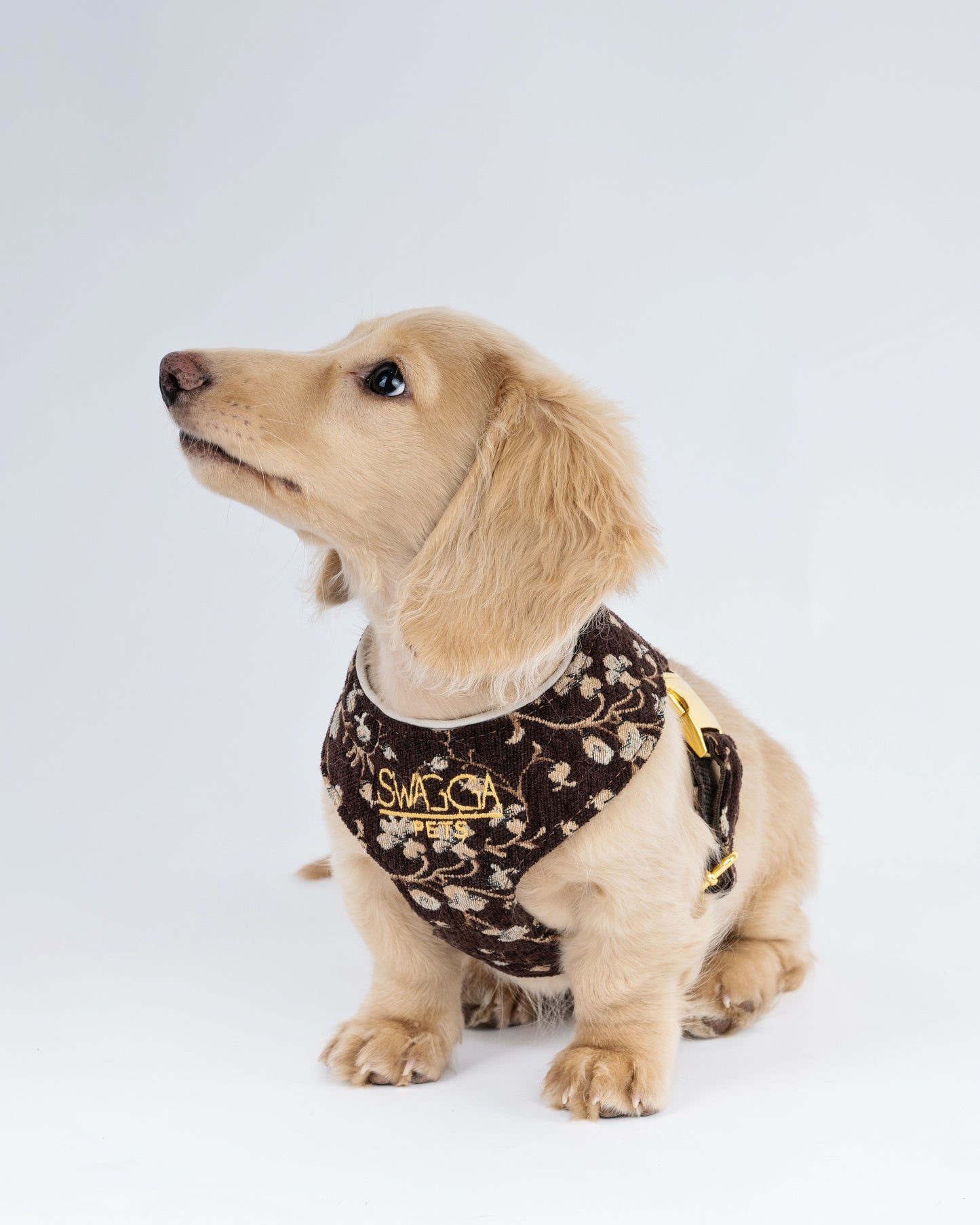 Vintage Brown Floral Velvet Dog Harness – Luxury Gold Hardware