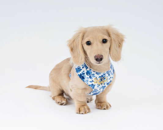 Luxury Velvet Dog Harness – Delft Design with Rose Gold