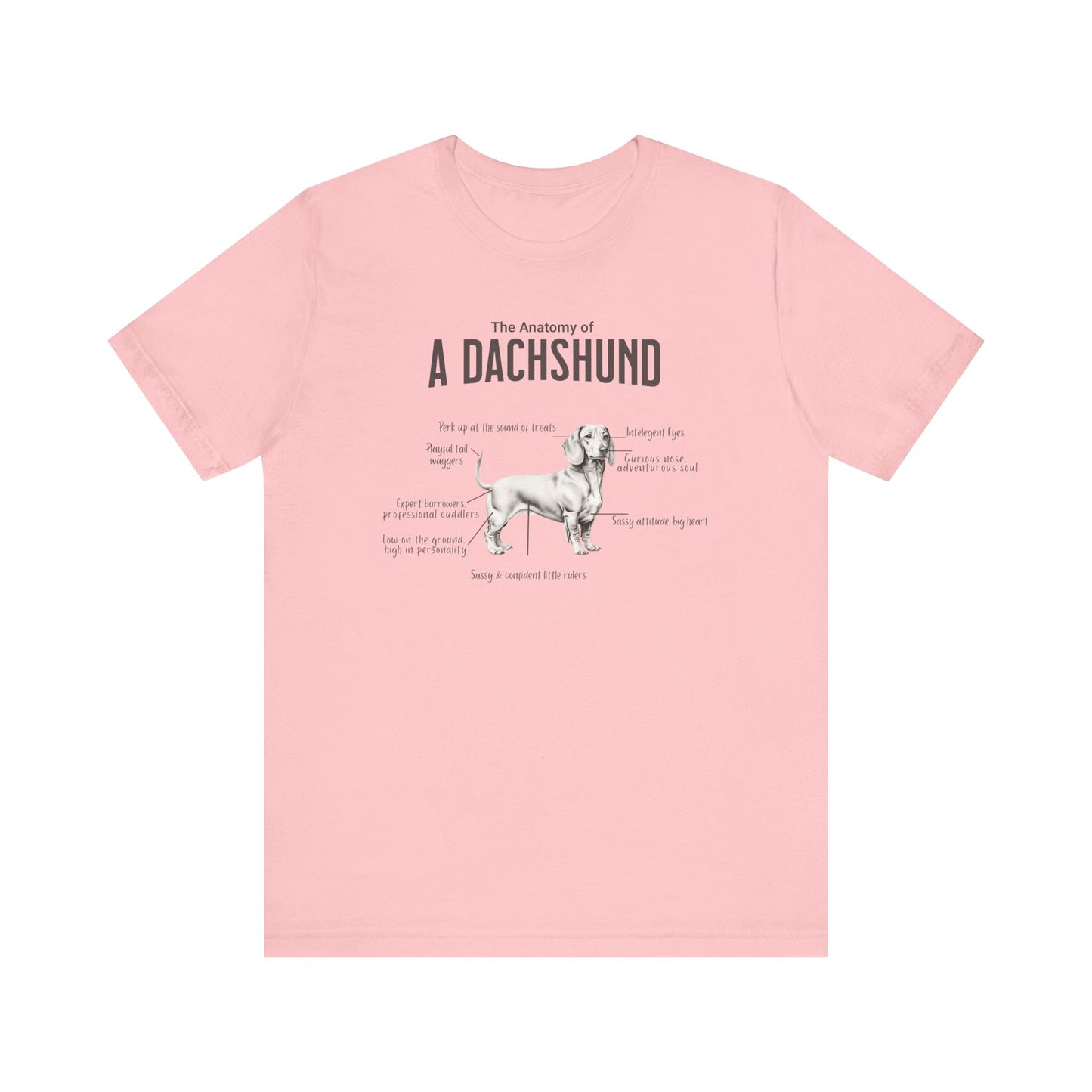 Dachshund Anatomy T-Shirt
