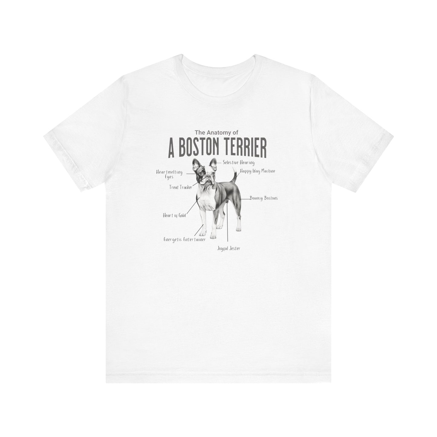 Boston Anatomy T-Shirt