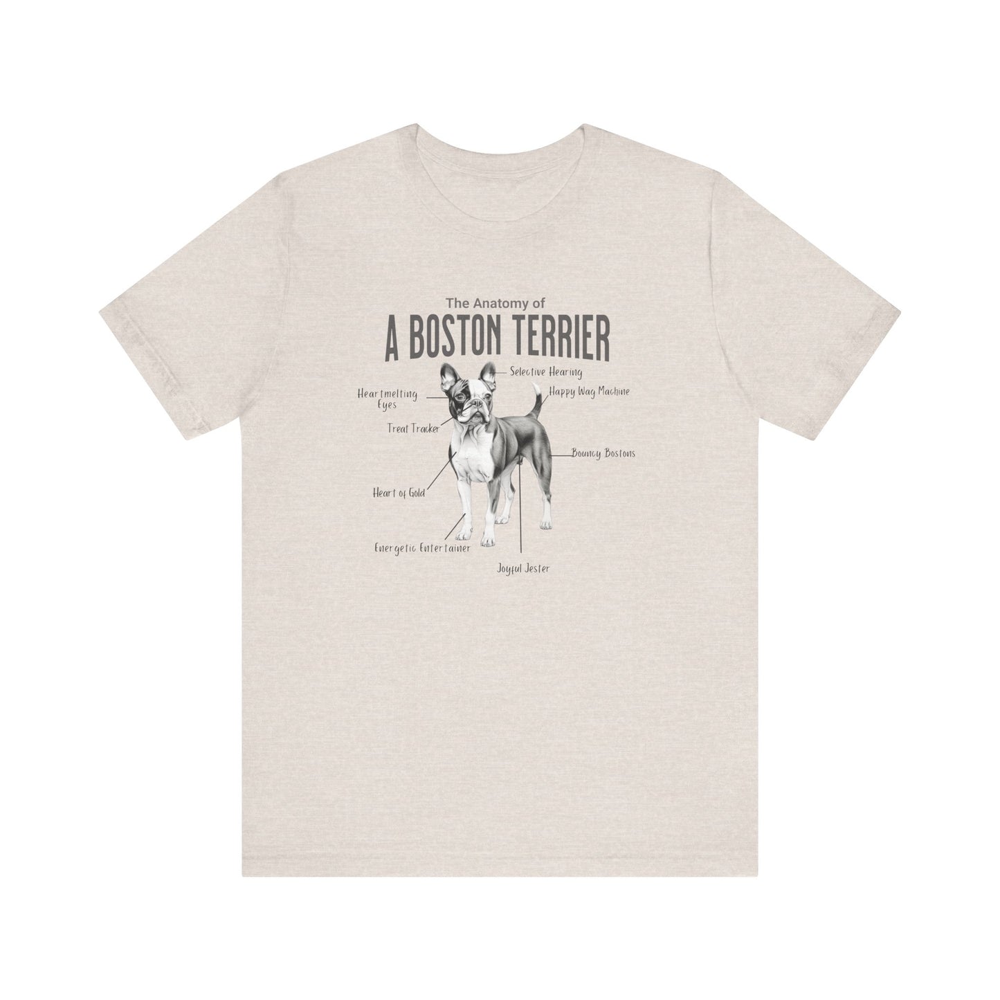 Boston Anatomy T-Shirt