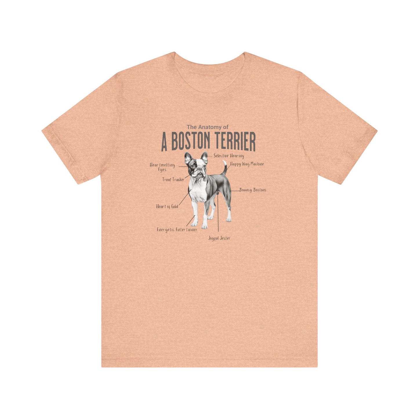 Boston Anatomy T-Shirt