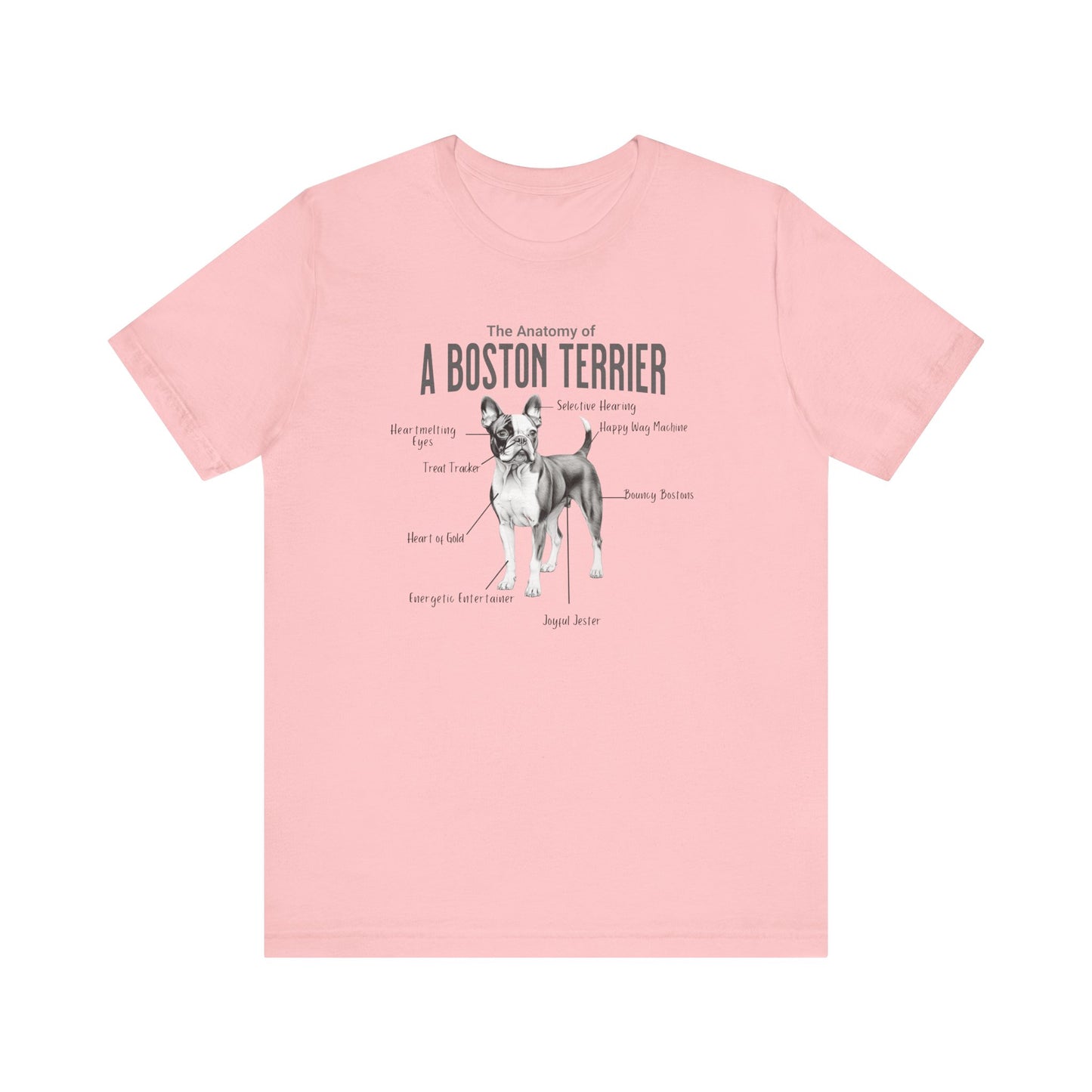 Boston Anatomy T-Shirt