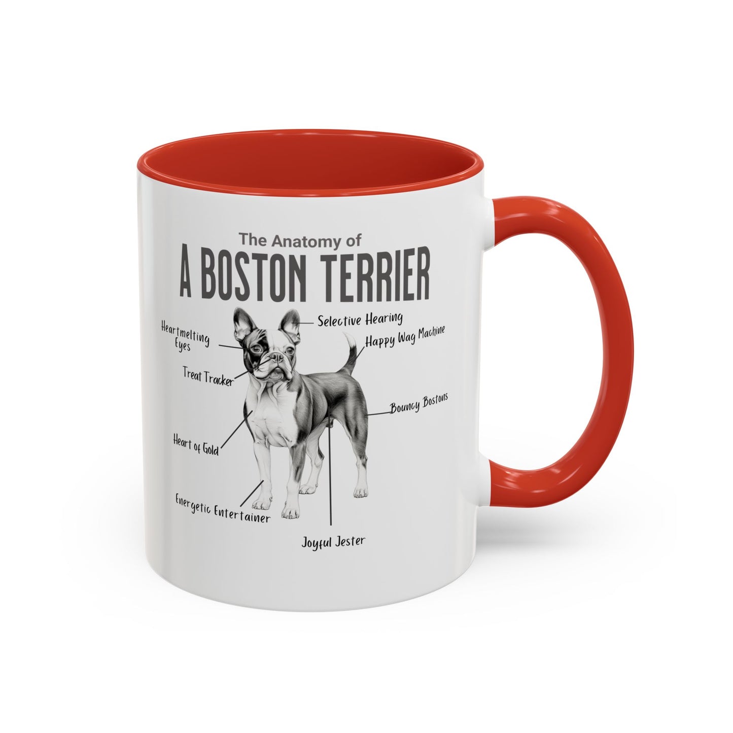 Boston Anatomy Mug