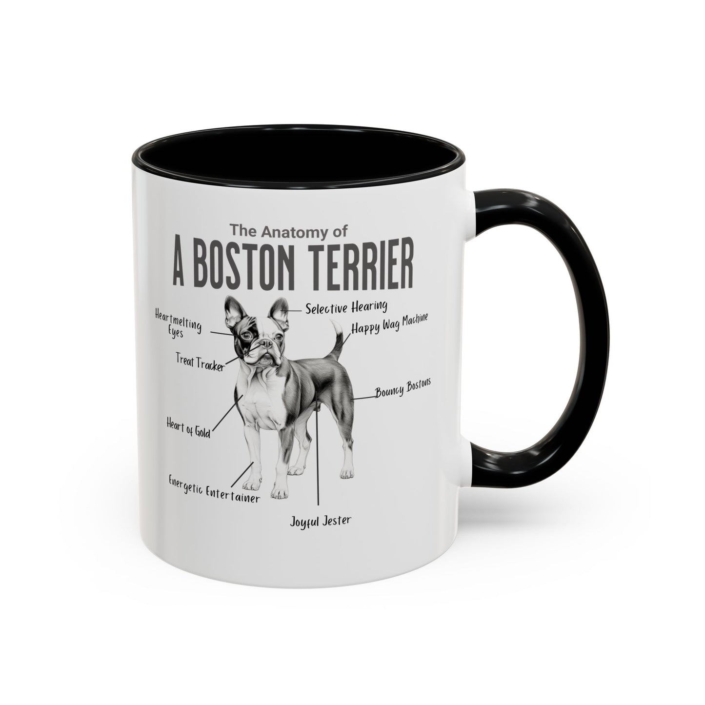 Boston Anatomy Mug