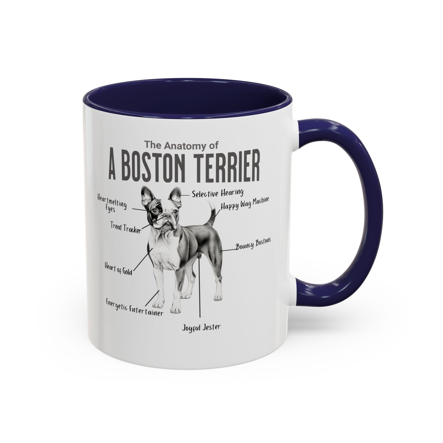 Boston Anatomy Mug