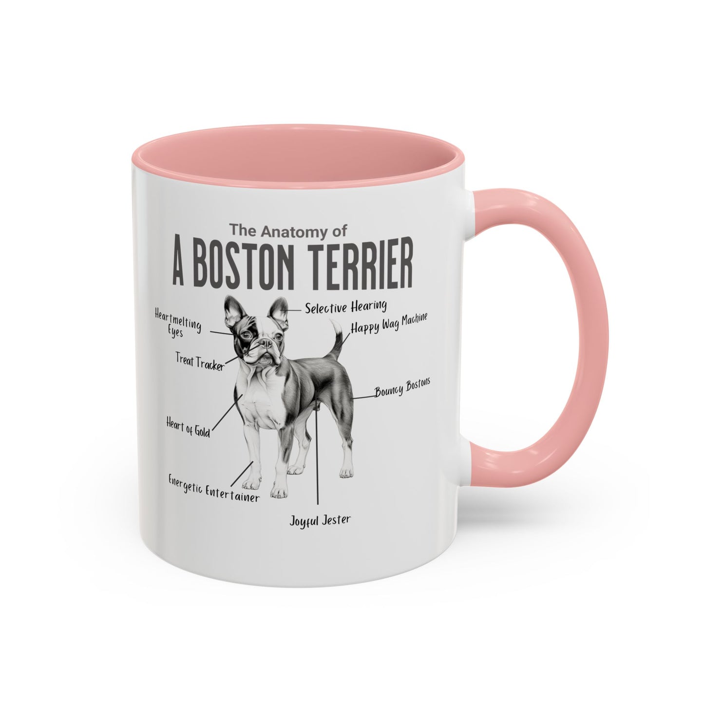 Boston Anatomy Mug