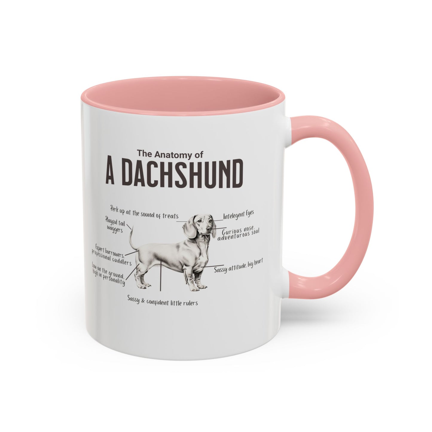 Dachshund Anatomy Mug White