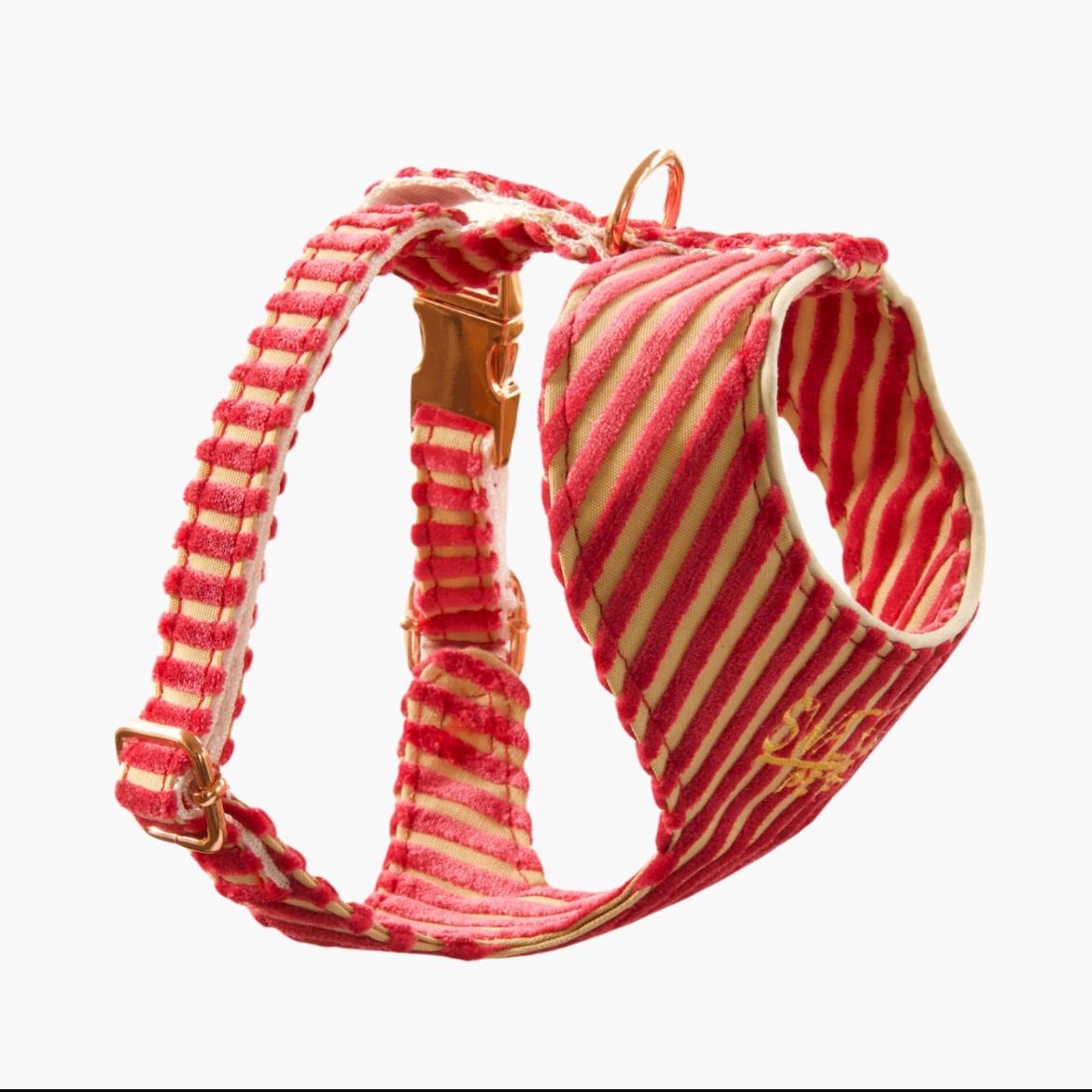 Bold Striped Velvet Dog Harness – Handmade With Upholstery Fabric