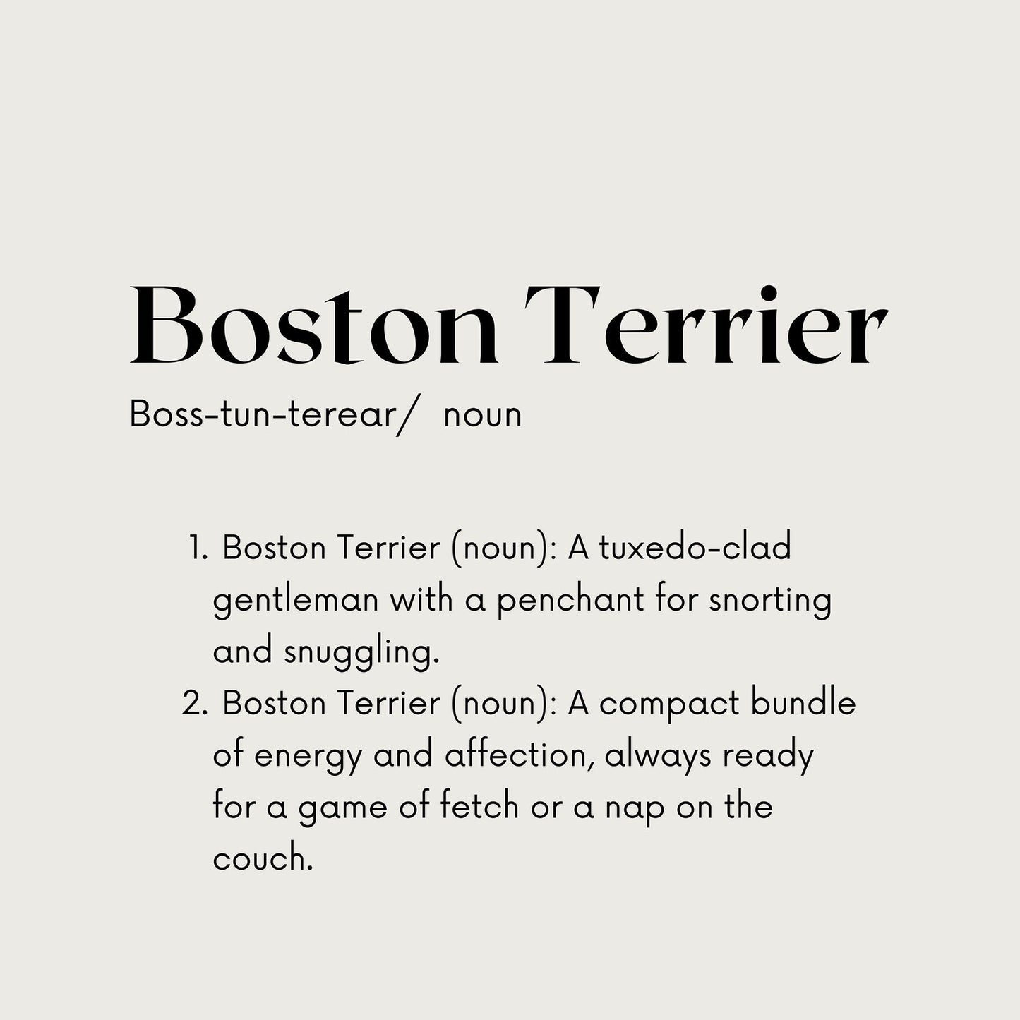 Boston Terrier Definition T-Shirt