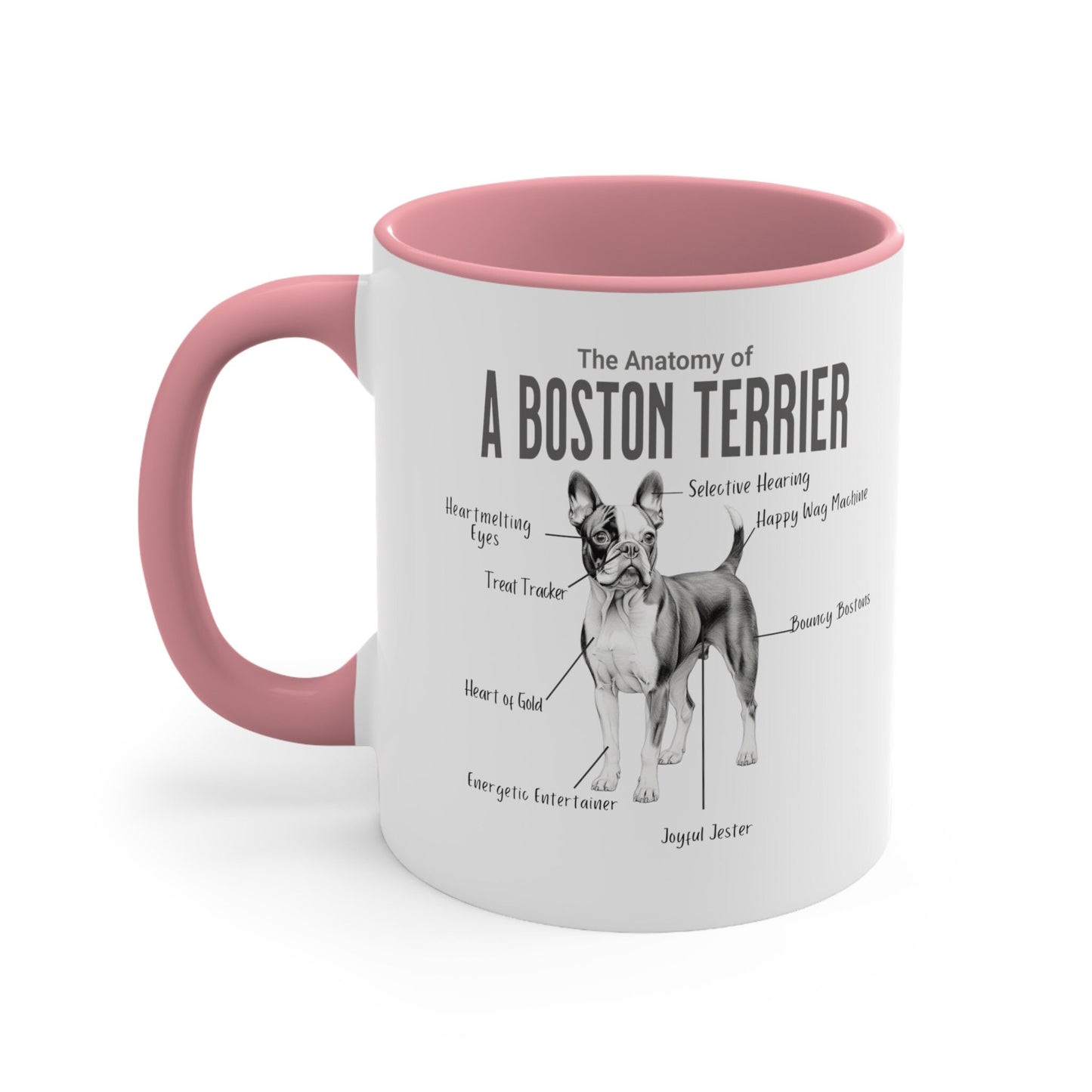 Boston Anatomy Mug