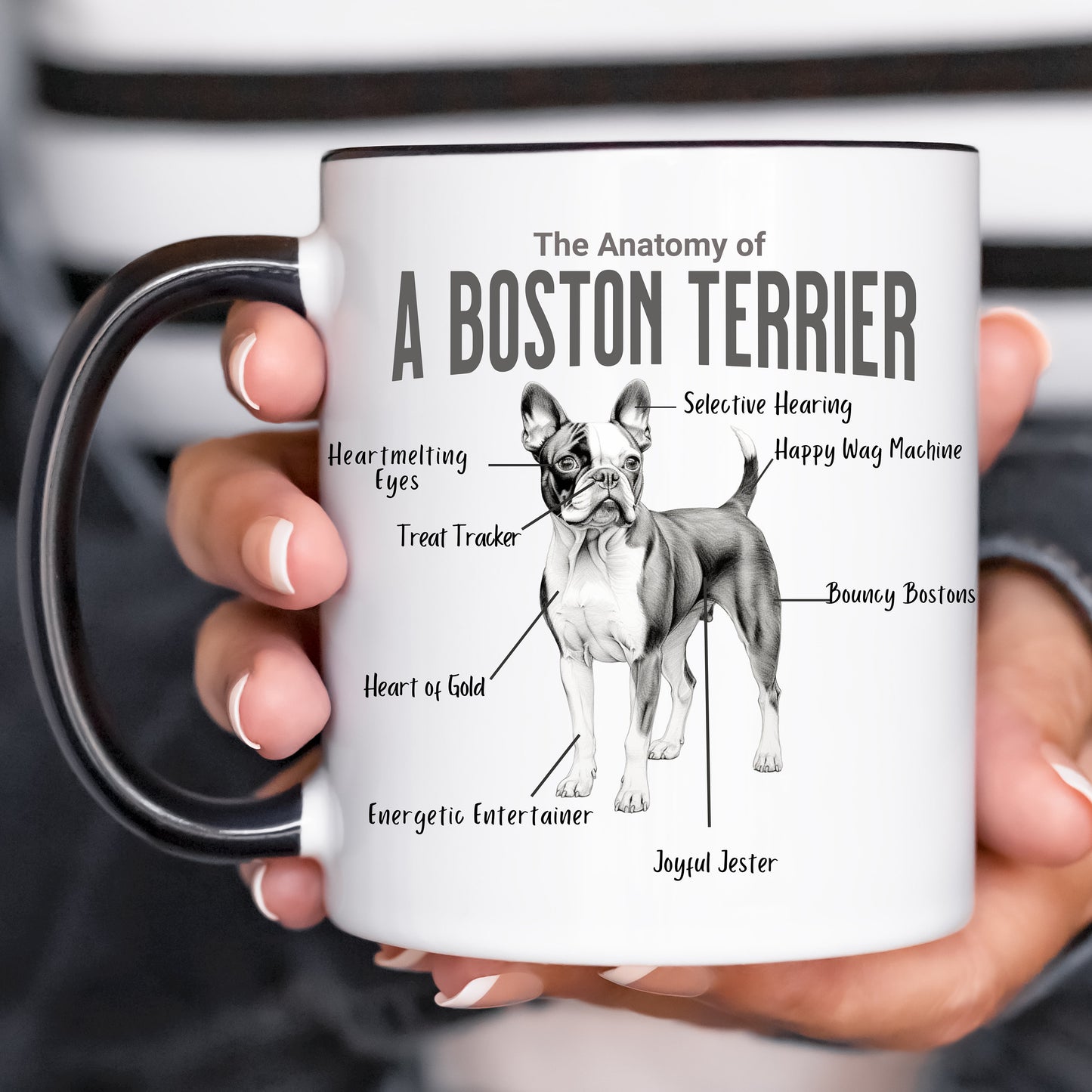Boston Anatomy Mug