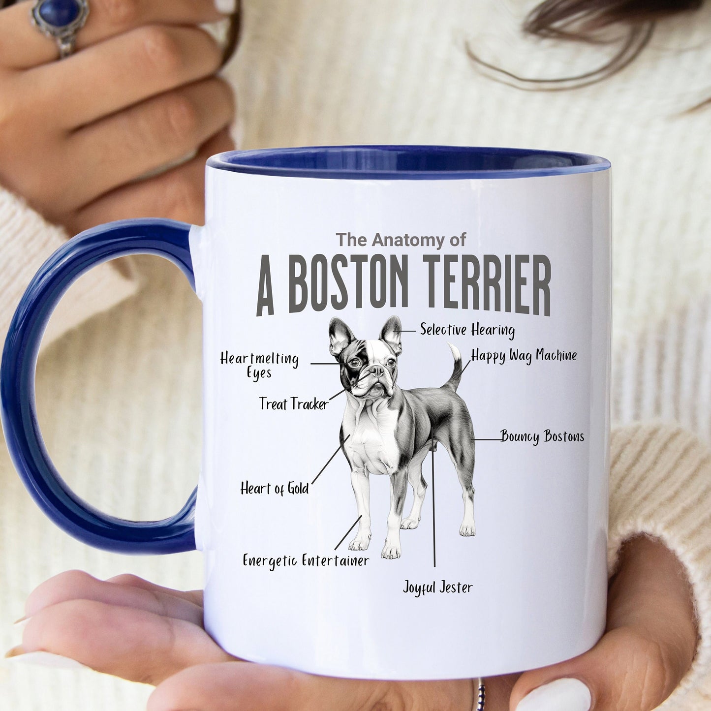 Boston Anatomy Mug